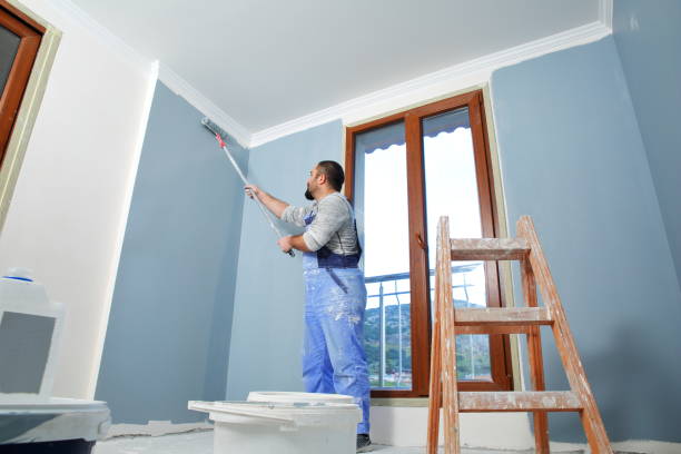 Best Basement Mold Removal  in Dewitt, MI
