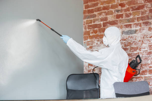 Best Real Estate Mold Inspection  in Dewitt, MI