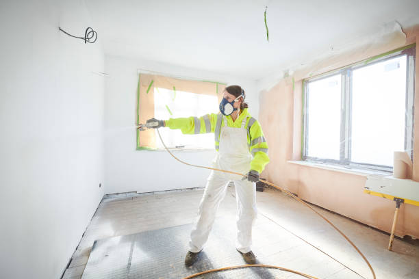 Best Mold Remediation for Healthcare Facilities  in Dewitt, MI