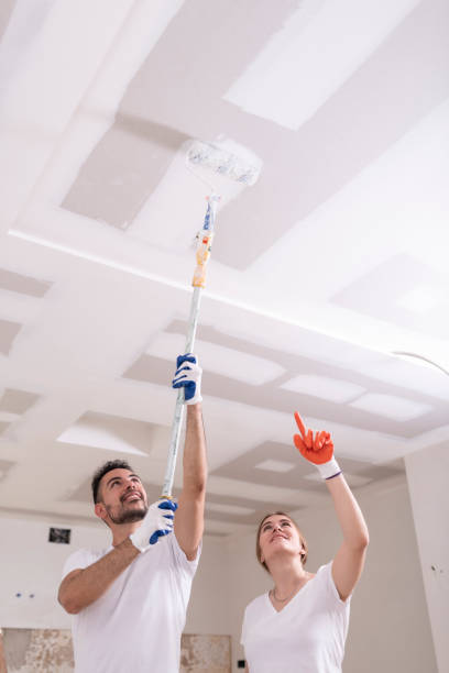 Best Black Mold Removal  in Dewitt, MI