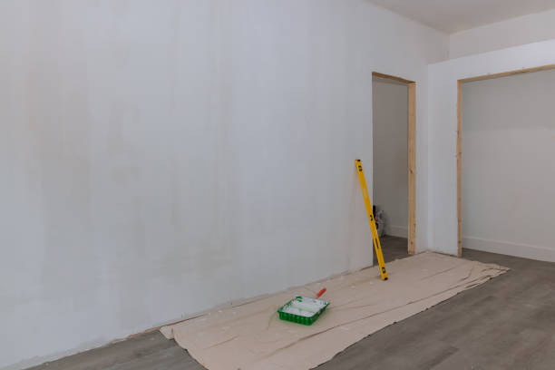 Dewitt, MI Mold Removal Company
