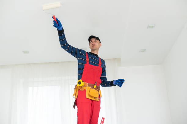 Best Mold Odor Removal Services  in Dewitt, MI